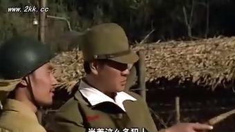 飞虎队营救在线观看,惊心动魄的空中救援传奇  第3张