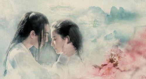 杨洋刘亦菲最新爆料消息,揭秘幕后故事与精彩瞬间  第2张