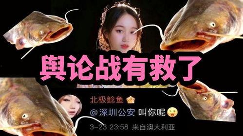 北极鲶鱼爆料博主视频,揭秘博主爆料视频背后的真相  第2张